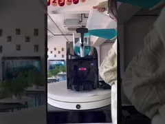 বৈদ্যুতিক স্লাশ মেশিন 3L ডাবল ট্যাঙ্ক ছোট হোম এবং বাণিজ্যিক ব্যবহার